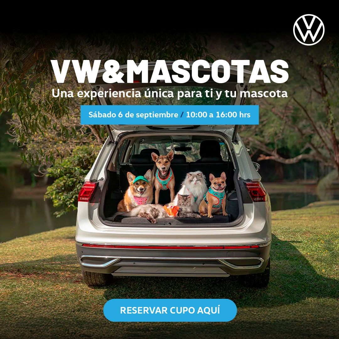 Volkswagen y mascotas